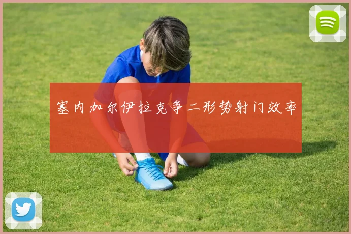 塞内加尔伊拉克争二形势射门效率