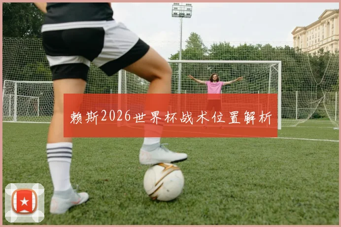 赖斯2026世界杯战术位置解析