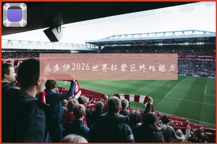 戈多伊2026世界杯禁区终结能力
