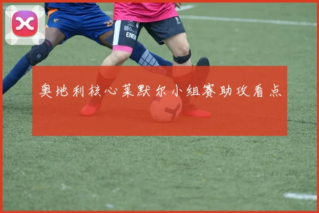 奥地利核心莱默尔小组赛助攻看点