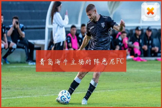 青岛海牛主场对阵悉尼FC