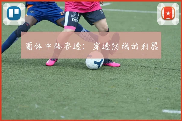 葡体中路渗透：穿透防线的利器