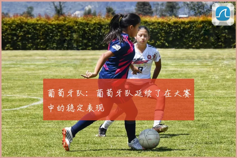 葡萄牙队：葡萄牙队延续了在大赛中的稳定表现