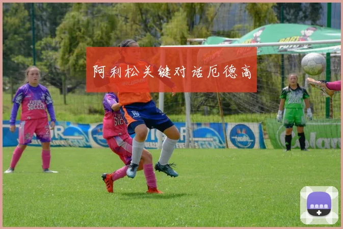 阿利松关键对话厄德高