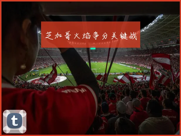 芝加哥火焰争分关键战