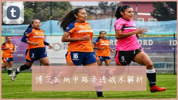博茨瓦纳中路渗透战术解析