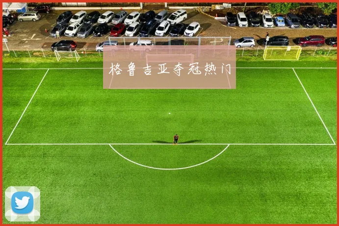格鲁吉亚夺冠热门