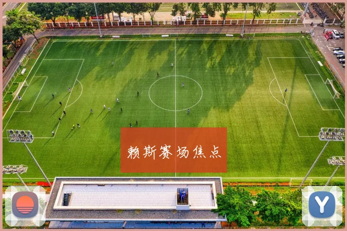 赖斯赛场焦点