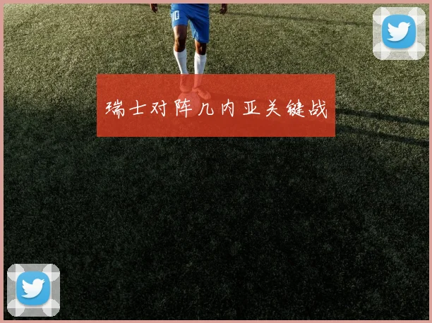 瑞士对阵几内亚关键战