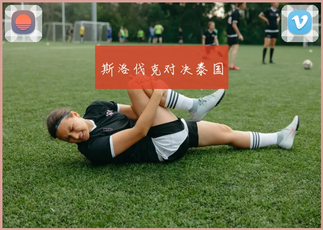 斯洛伐克对决泰国