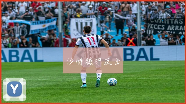 沙特稳守反击