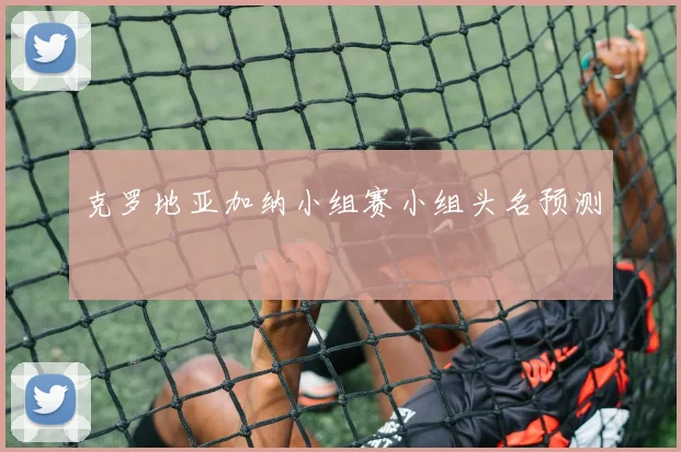 克罗地亚加纳小组赛小组头名预测
