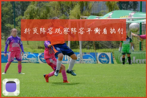 科莫阵容观察阵容平衡看执行