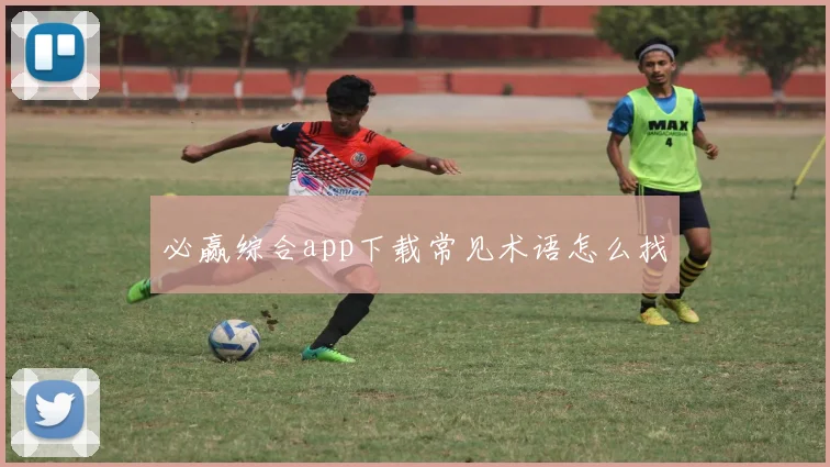 必赢综合app下载常见术语怎么找