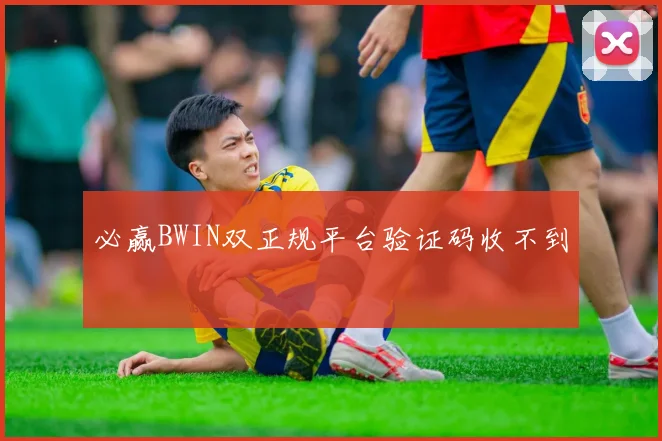 必赢BWIN双正规平台验证码收不到