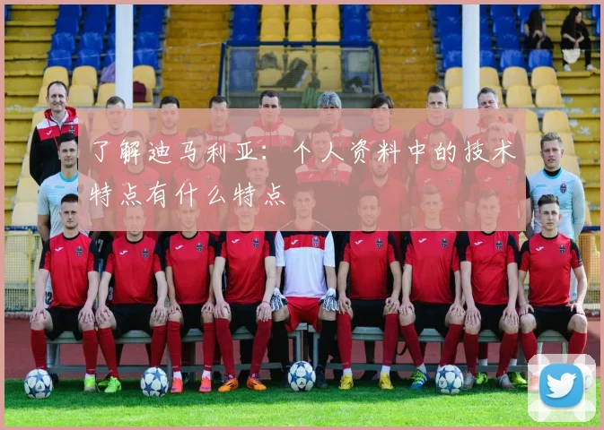 了解迪马利亚：个人资料中的技术特点有什么特点