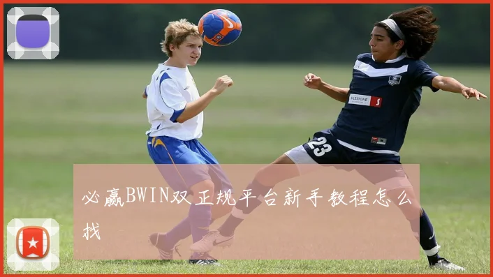 必赢BWIN双正规平台新手教程怎么找